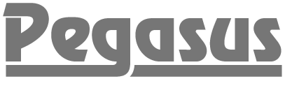 Pegasus Sports