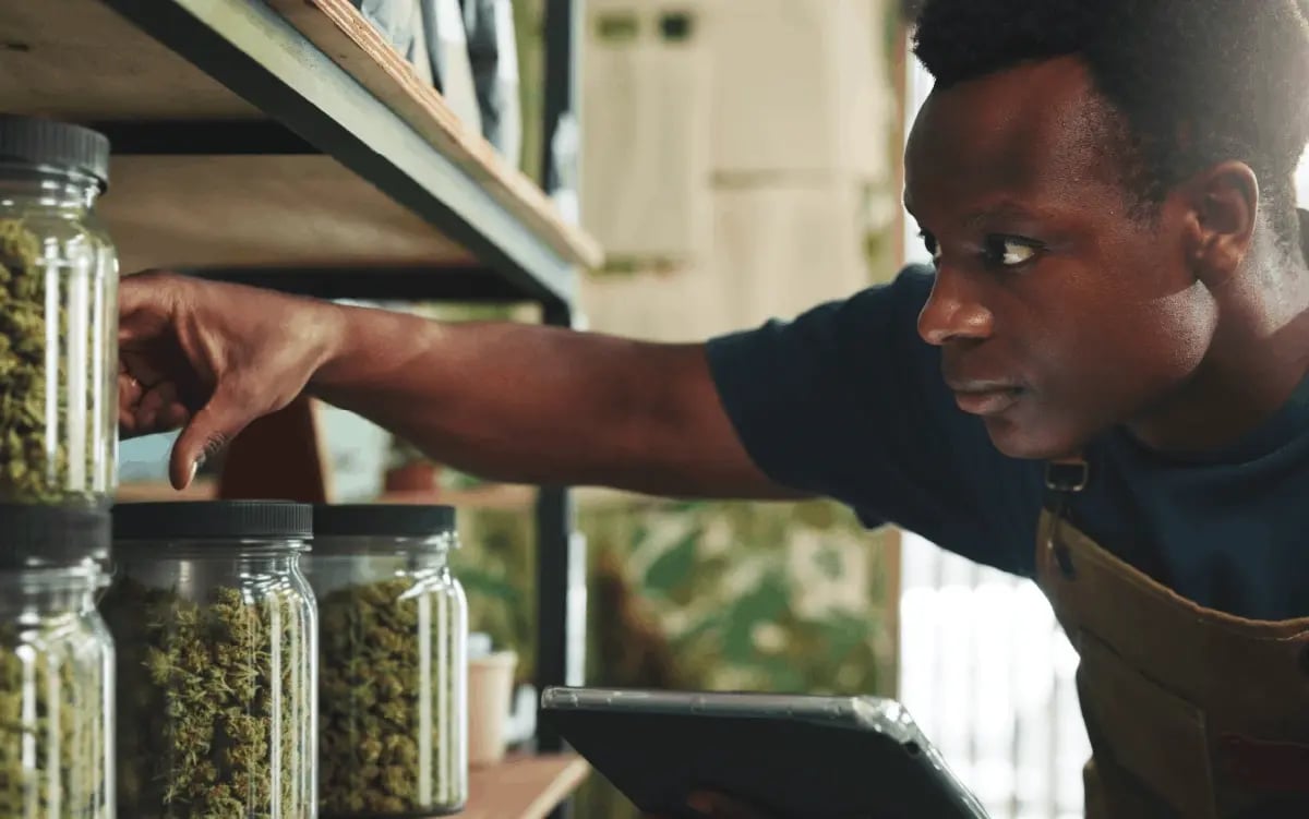 INFO-Cannabis-Every item gets a unique identity-Blog image