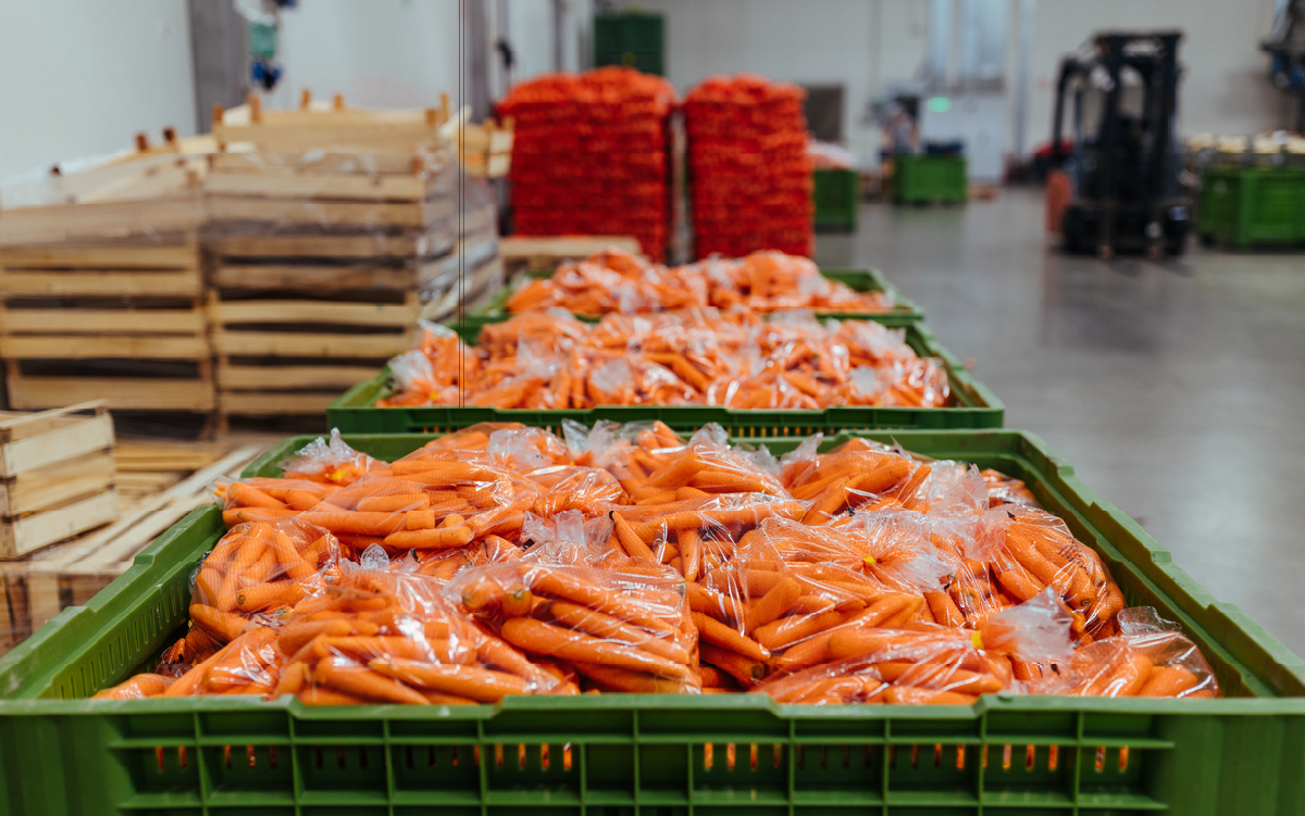 INFO-Food Campaign-Blog image-Product integrity