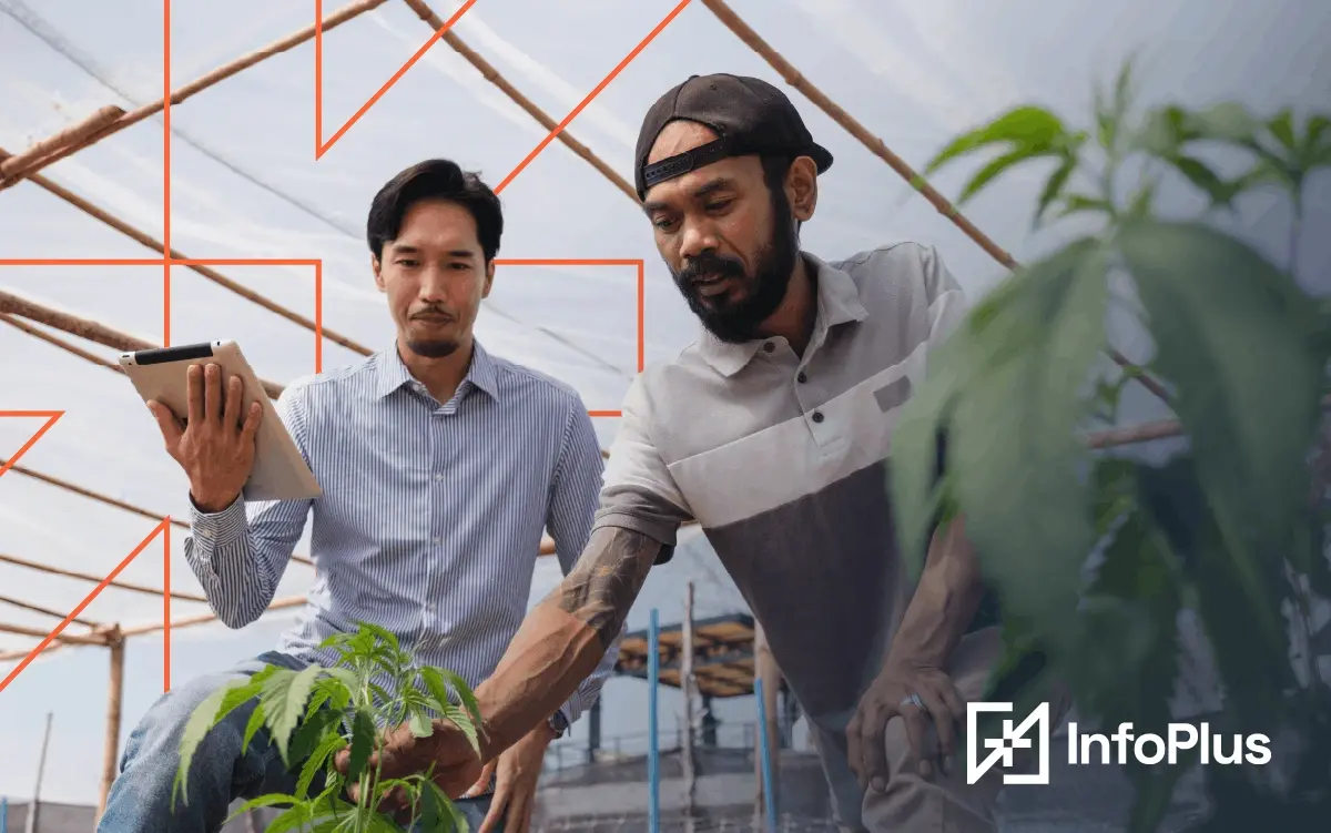 Make sure your WMS can keep up with cannabis compliance